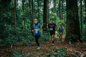 BIB: 
                            <button type="button" onclick="openModal(26129163)" class="btn btn-primary btn-sm float-right btn-popup" data-toggle="modal" data-target=".modal-high-quality">
                        <i class="fas fa-shopping-cart"></i> Add to Cart
                    </button>
                                            <button type="button" onclick="isThisMe(26129163, true)" class="btn btn-success btn-sm float-right btn-popup btn-isme hidden" data-toggle="tooltip" data-placement="bottom" title="นี่คือรูปของคุณใช่ไหม คลิกที่นี่เพื่อเอาเข้าอัลบั้ม">
                        <i class="fas fa-plus"></i> Add to album
                    </button>
                    <button type="button" onclick="isThisMe(26129163, false)" class="btn btn-warning btn-sm float-right btn-popup btn-isnotme hidden">
                        <i class="fas fa-ban"></i> Remove from album
                    </button>